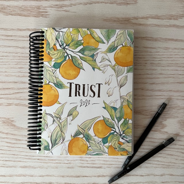 2023 Classic Planner with Pens
