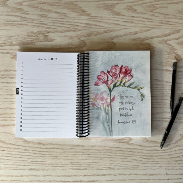 2023 Classic Planner June Goals