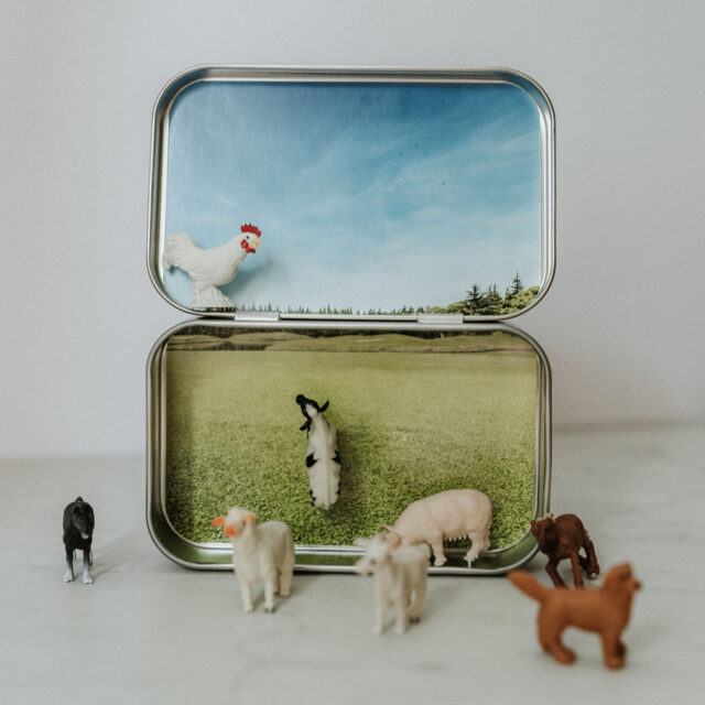 Farm Magnetic Animal Tin