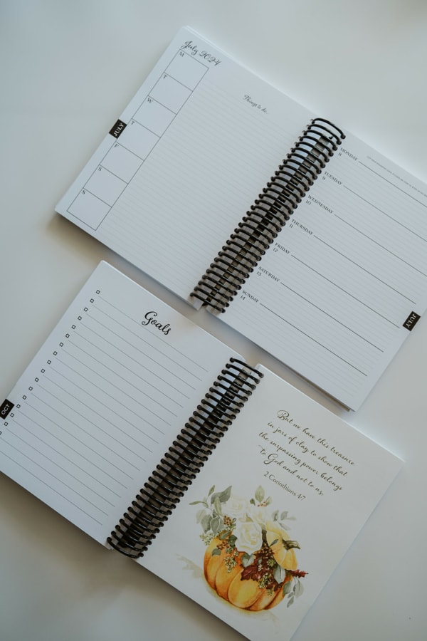 Weekly Planner Week Page and Monthly Goal Pages